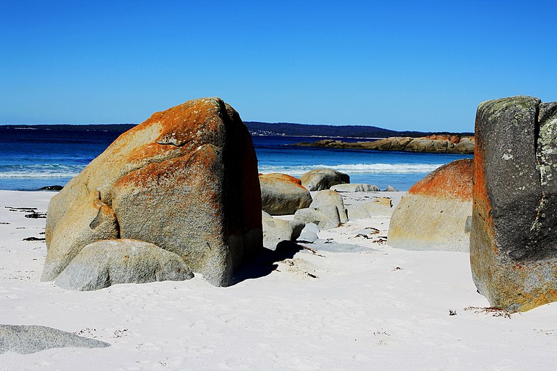 File:Lichen-covered granite in Bay of Fires.jpg