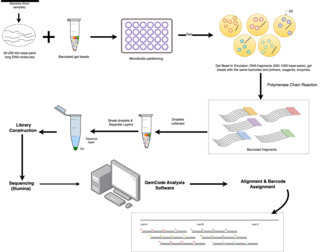 Linked-read sequencing