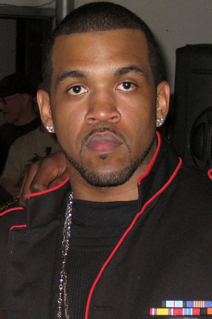 <span class="mw-page-title-main">Lloyd Banks discography</span>