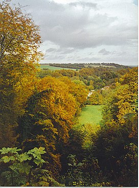 Melihat ke Bawah Zigzag Berjalan, Selborne Gantungan. - geograph.org.inggris - 179853.jpg