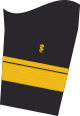 Insignia de rango de un médico del personal de almirante (aprobación para medicina humana) en la manga inferior de la chaqueta del traje de servicio para usuarios de uniformes navales