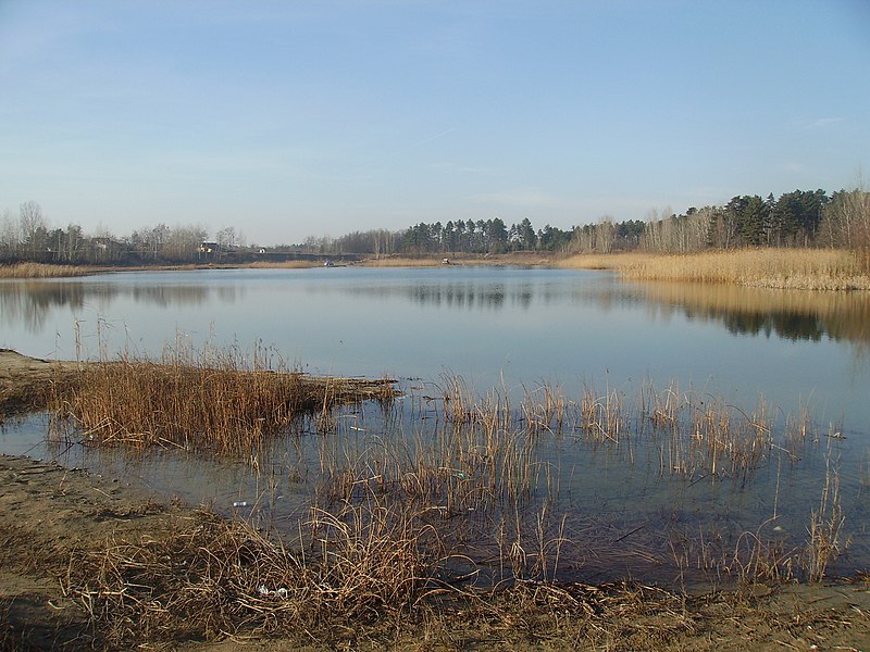 File:Majdan - panoramio.jpg