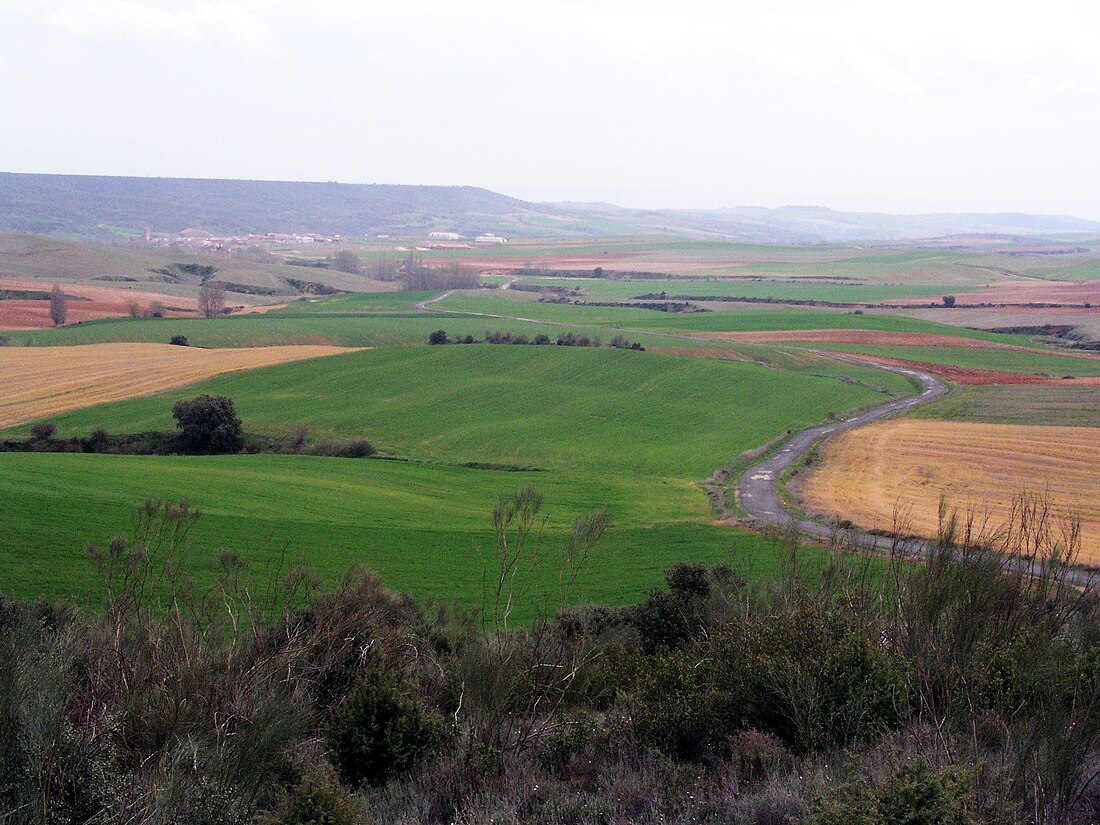 Campiña del Henares