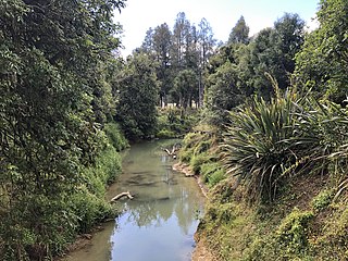 <span class="mw-page-title-main">Mangapu River</span> River in New Zealand