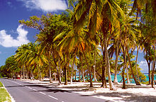 Road in Marie Galante