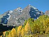 Maroon Bells Aspens.JPG