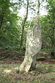 Menhir z kabátu Couraval