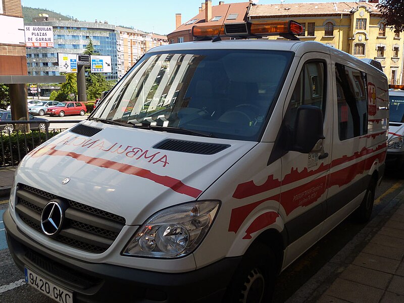 File:Mercedes Sprinter (6058039113).jpg