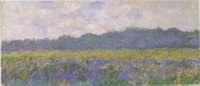 Field of Yellow Irises Monet - Wildenstein 1996, 1137.png