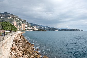 Monaco: Historia, Geografi, Styrelseskick