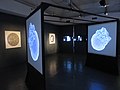 Morphogenic digital art exhibition by Andy Lomas at Watermans Arts Centre, London.jpg