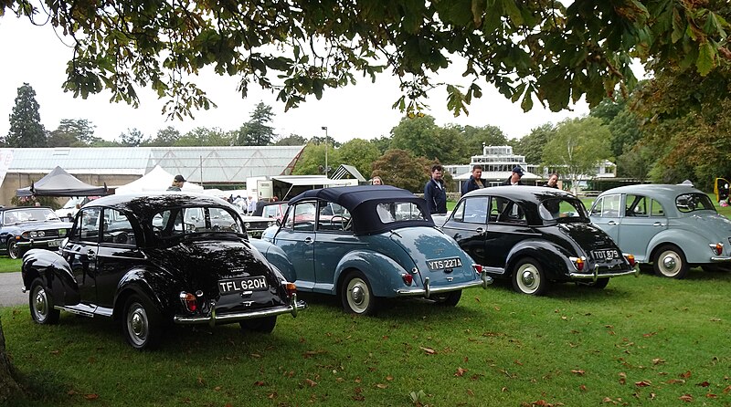 File:Morris Minor line-up - 53213306175.jpg