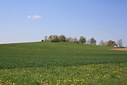 Der Motzküppel im LSG Vorderrhön (Teil des Biospärenreservat Rhön) bei Weyhers in der Gemeinde Ebersburg