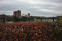 Mytishchi, pond on the Yauza River (31603383472).jpg