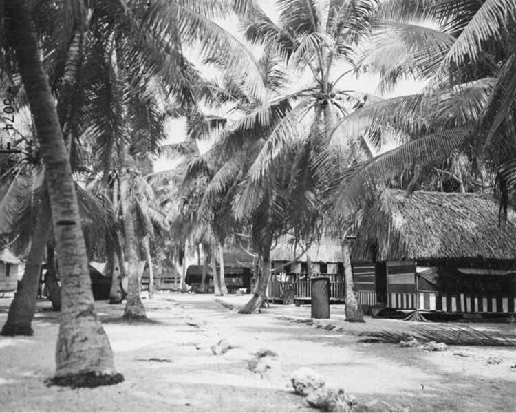 File:Native village, Rongerik Island, 1947 (DONALDSON 122).jpeg