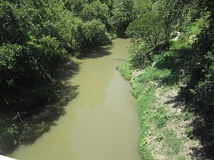 Navasota rivier in TX IMG 6231.jpg