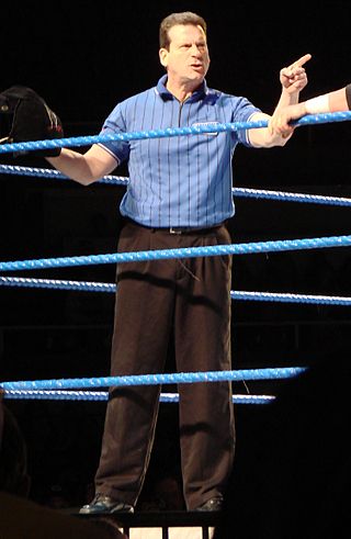 <span class="mw-page-title-main">Nick Patrick (referee)</span> American professional wrestling referee