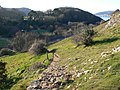 Thumbnail for File:North Wales Coast Path descending through Rhiwledyn to the Llandudno road - geograph.org.uk - 2793256.jpg