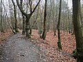 The Faesten Dic in the northern part of Joyden's Wood. [186]