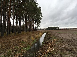 Flotter Graben near Schöneweide