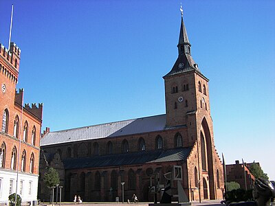 Domkerk an Odense