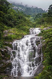 Afi Mountain Wildlife Sanctuary in Cross River state is protected by Rangers of the Forestry Commission, and supported by Wildlife Conservation Society in Nigeria. The forest is home to the endangered Cross River gorilla and Nigeria-Cameroun chimpanzee, drill monkeys, etc. The landscape is dotted with amazing views and spectacular waterfalls. Photo by Dotun55