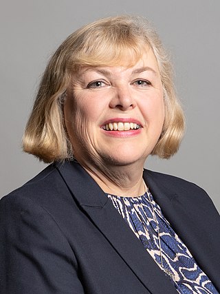 <span class="mw-page-title-main">Jane Hunt (politician)</span> British Conservative politician