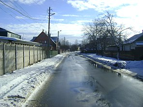 Вулиця Ольги Гасин узимку, 2016 рік