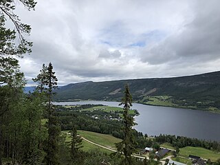 <span class="mw-page-title-main">Lomnessjøen</span> Lake in Rendalen, Norway