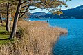 English: Landspitz on the peninsula and view of Maria Wörth Deutsch: Landspitz auf der Halbinsel und Blick nach Maria Wörth