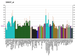 PBB GE CCBL1 206037, fs.png'de