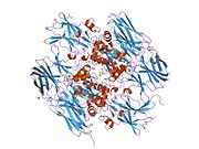 PDB 1ex0 EBI.jpg