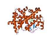 PDB 1k4w EBI.jpg