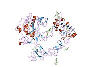 1нqл​: Структура екстрацелуларног домена људског рецептора епидермалног фактора раста (ЕГФ) у неактивном (низак пХ) комплексу са ЕГФ.