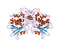 Thumbnail for Ribosome-inactivating protein