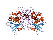 PDB 1paf EBI.jpg