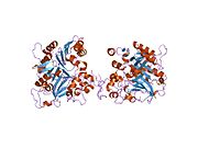 1qzq: human Tyrosyl DNA phosphodiesterase