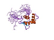 PDB 1wwx EBI.jpg