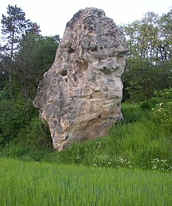 Podlešínská skalní jehla, pohled od jihozápadu