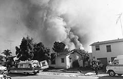 Nuage de fumée après le crash du 727.