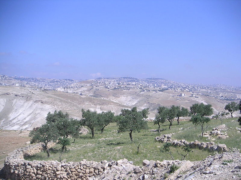 File:Palestine.JPG