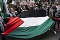 Pro-Palestine rally #2