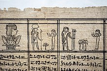 A papyrus on display