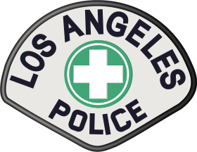 Patch of the LAPD, used primarily for Traffic Assignment.