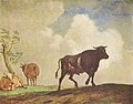 Бык и коровы. 1650. Картинная галерея. Берлин