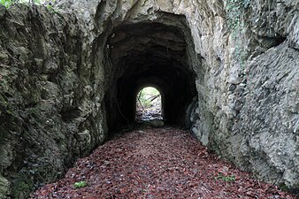 Wartenstein Tunnel (2016)