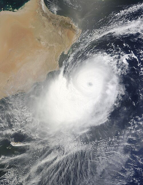 2010 North Indian Ocean cyclone season