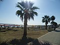 Phinikoudes beach Larnaca Cyprus (1).jpg