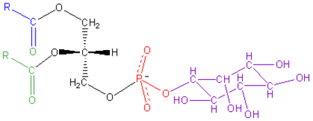 ไฟล์:Phosphatidyl-Inositol.png