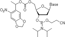 5'-O-MeNPOC-protected nucleoside phosphoramidite. Photolabile amd.png